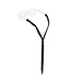 Chums Chums Original Cotton Standard Eyeglass Retainer