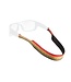 Chums Chums Neoprene Prints Eyeglass Retainer