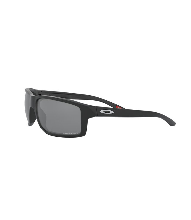 Oakley Oakley Gibston Matte Black W/Prizm Black
