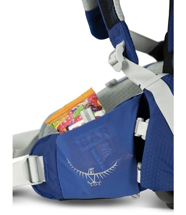 Osprey Osprey Poco Child Carrier