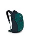 Osprey Osprey Daylite Plus Day Pack