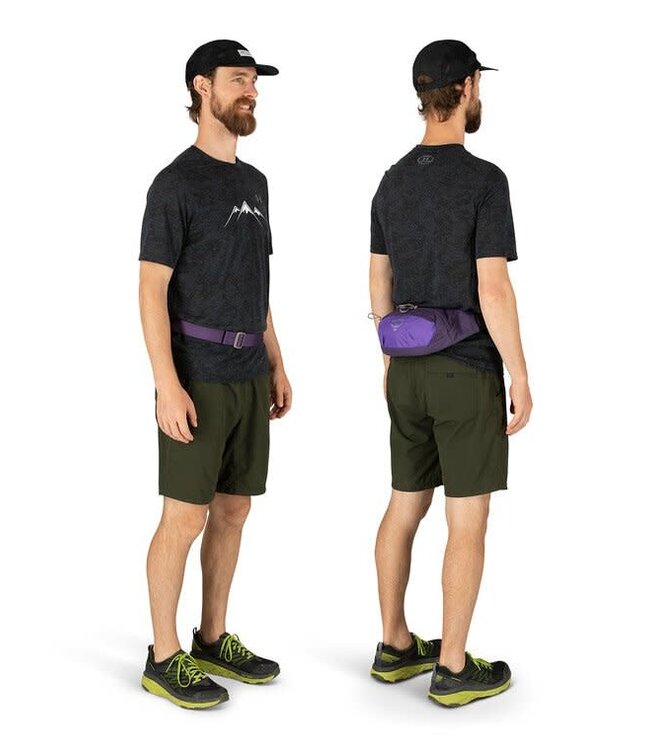 Osprey Osprey Daylite Waist