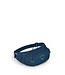 Osprey Osprey Daylite Waist