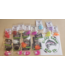 Creek Candy Bead Company Creek Candy - Candy Bands