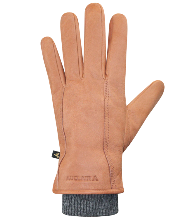 Auclair Auclair Aiden Men's Leather Glove