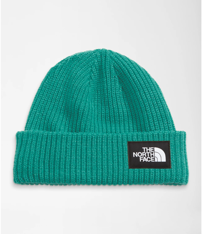 The North Face The North Face Salty Dog Beanie