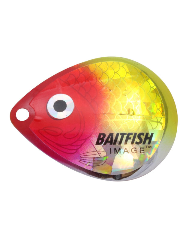 Northland Northland Baitfish-Image Deep-Cup Colorado Blades