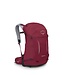 Osprey Osprey Hikelite 28 Day Pack