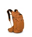 Osprey Osprey Raptor Hydration 14L w/Reservoir