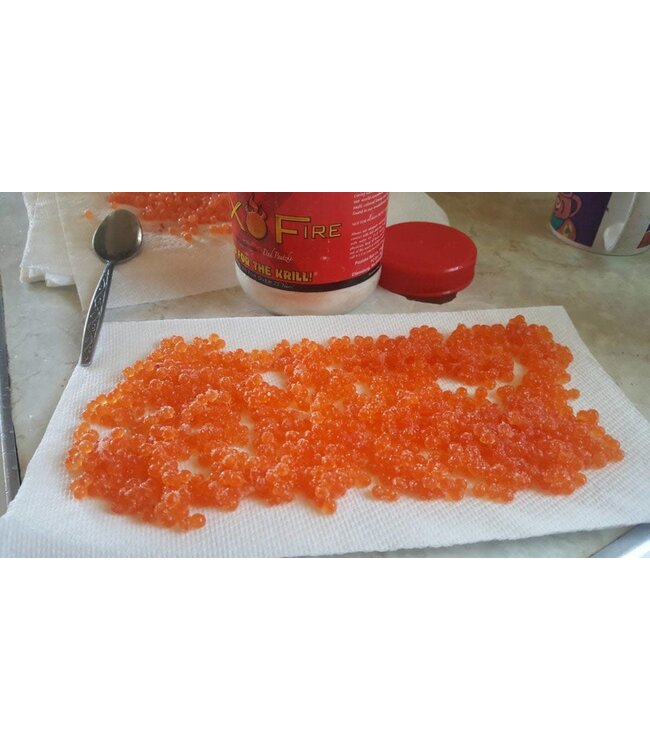 Pautzke Bait Co. Pautzke BorX O' Fire FireCure w/Krill 28oz.