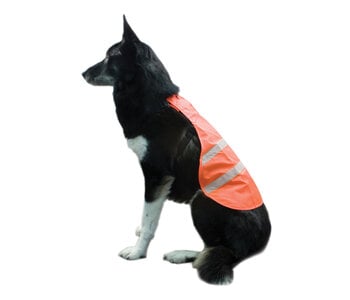 Backwoods Safety Dog Vest - Blaze Orange