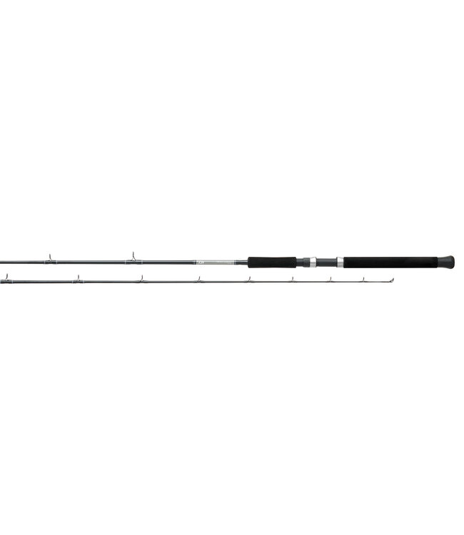 Daiwa Daiwa Great Lakes Diver/Trolling Rod