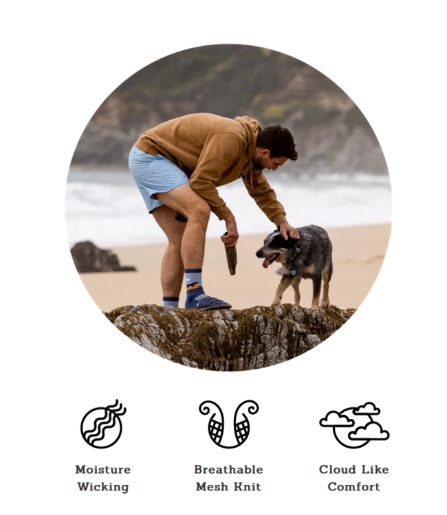 Socksmith Socksmith Compass Merino Wool Men's Sock - Size 10 -13