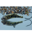 Meegs Meegs Elite Jig