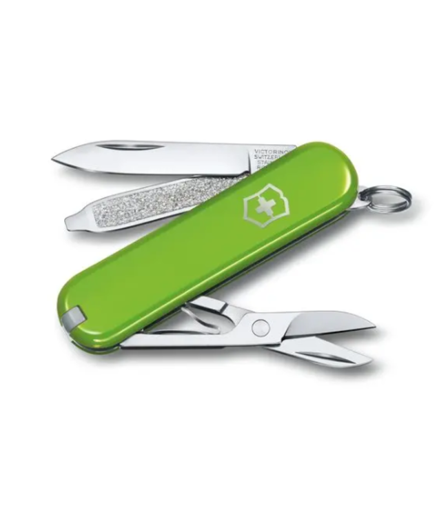 Swiss Army Victorinox Swiss Army Classic SD Pocket Knife