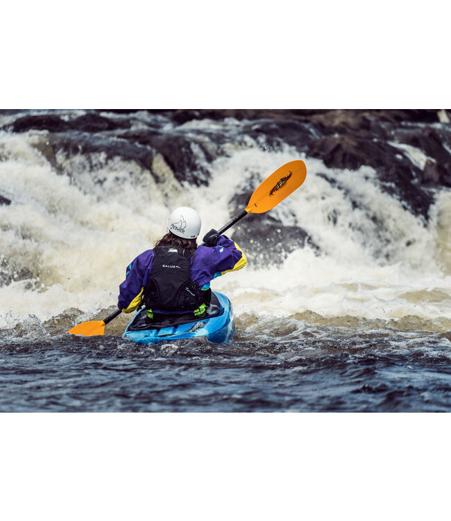 Salus Salus Torrent PFD