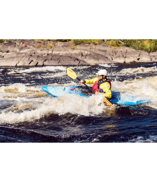 Salus Salus Torrent PFD