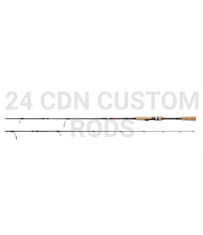 Daiwa Daiwa 24 CDN Custom Spinning Rod