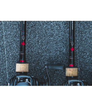 Daiwa Daiwa 24 CDN Custom Casting Rod