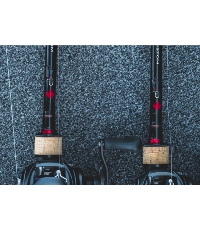 Daiwa Daiwa 24 CDN Custom Casting Rod
