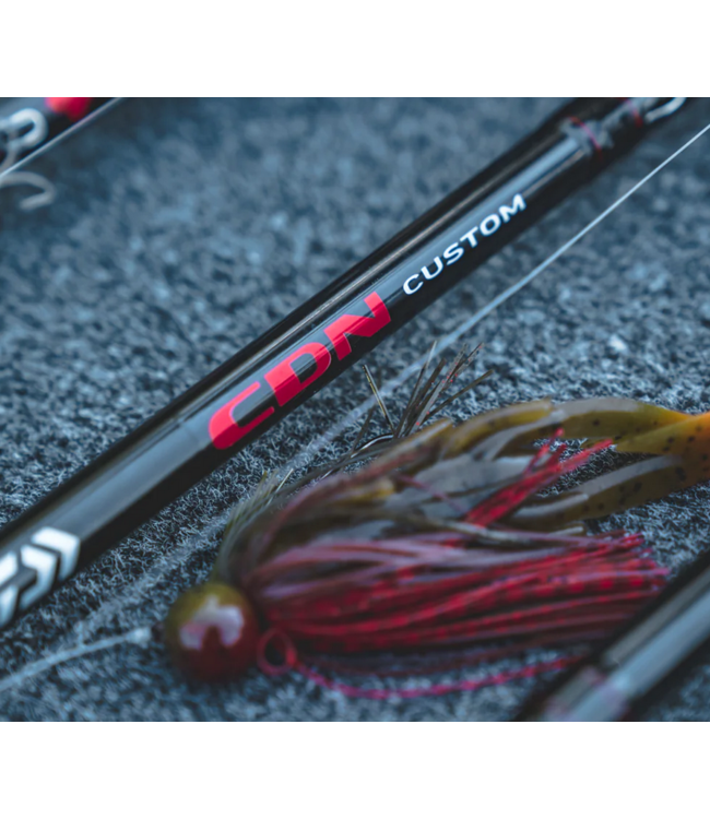Daiwa Daiwa 24 CDN Custom Casting Rod