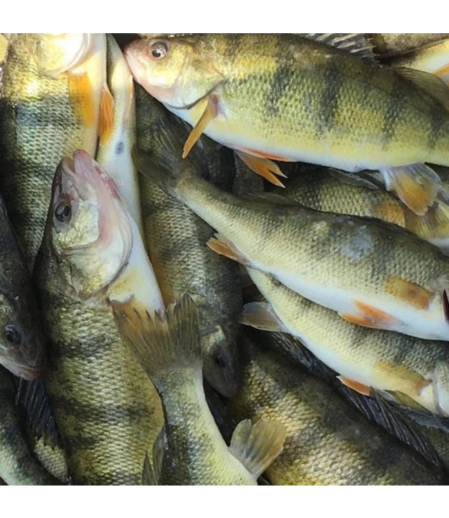 Billy Rub Billy Rub 100% Natural Fish Attractant