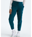 The North Face The North Face Women's Glacier Fleece Pants - Regular Fit