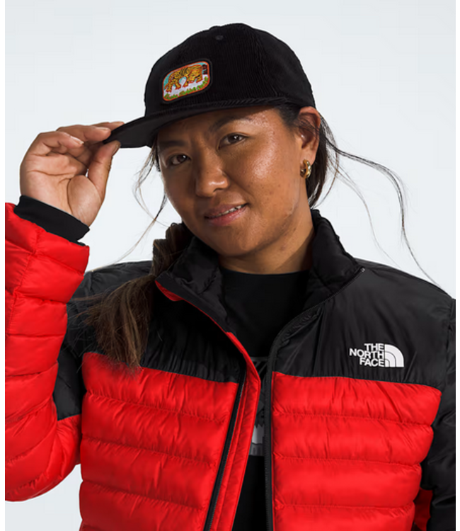 The North Face The North Face Men's Terra Peak Jacket