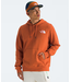 The North Face North Face Men's Box NSE Pullover Hoodie