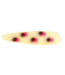 Wolverine Tackle Silver Streak Magnum 4 3/4" Spoon