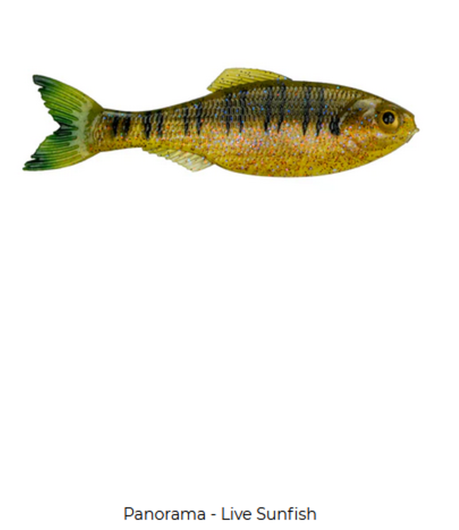 6th Sense Fishing 6th Sense Panorama