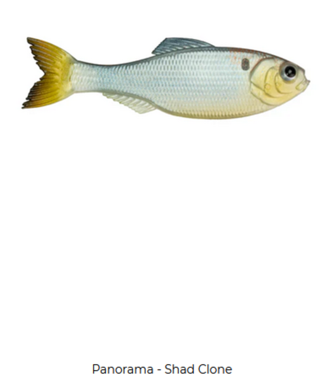 6th Sense Fishing 6th Sense Panorama