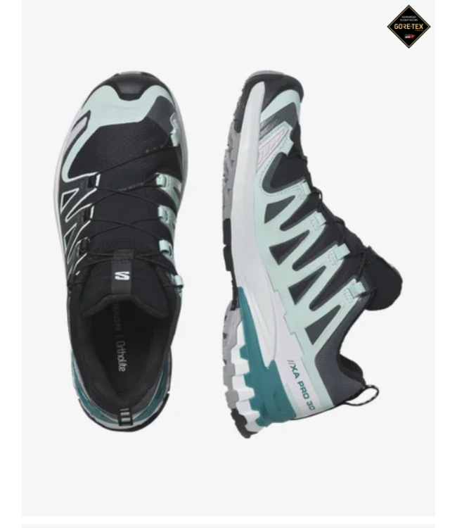 Salomon Salomon Women's XA Pro 3D V9 GoreTex Trail Running Shoe