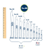 Opinel Opinel No.08 Stainless Steel Folding Knife