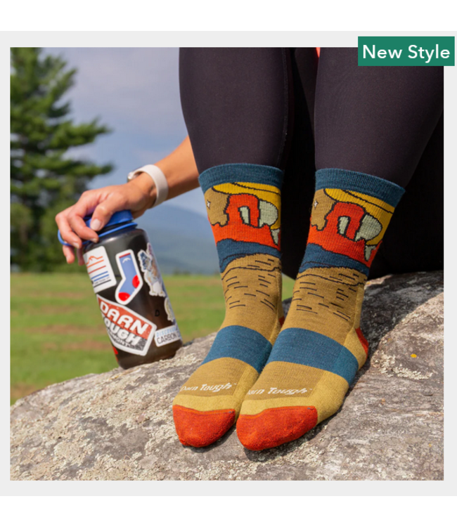 Darn Tough Darn Tough Women's Celeste Micro Crew Midweight Hiking Socks  - 5023W