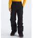 The North Face The North Face Men’s Freedom Insulated Pants