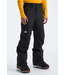 The North Face The North Face Men’s Freedom Insulated Pants