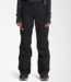 The North Face North Face Women’s  Freedom Insulated Pants