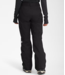 The North Face North Face Women’s  Freedom Insulated Pants