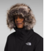 The North Face The North Face Women's Arctic Parka