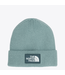 The North Face The North Face Logo Cuffed Beanie