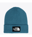 The North Face The North Face Logo Cuffed Beanie