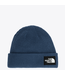 The North Face The North Face Salty Lined  Beanie