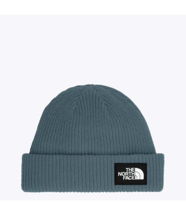 The North Face The North Face Salty Lined  Beanie