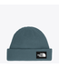 The North Face The North Face Salty Lined  Beanie