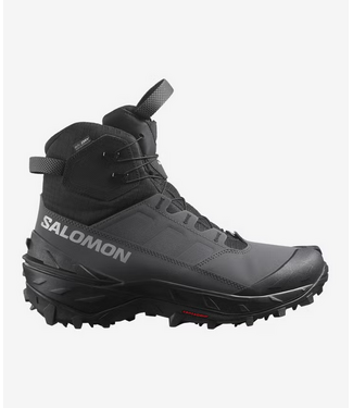 Salomon Salomon Men's Crosstrak Powder Waterproof Winter Boot