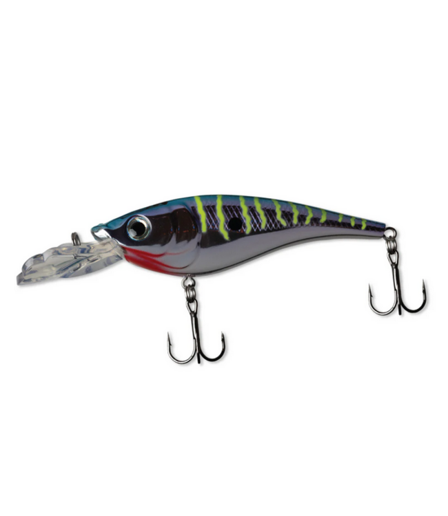 WalleyeX WalleyeX xShad