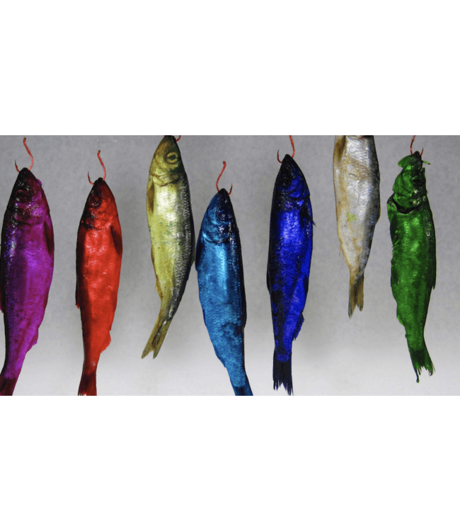 Pautzke Bait Co. Pautzke Fire Brine