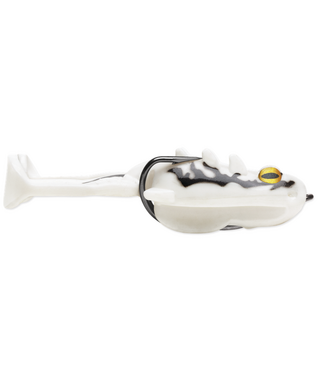 Storm Storm Surge Frog