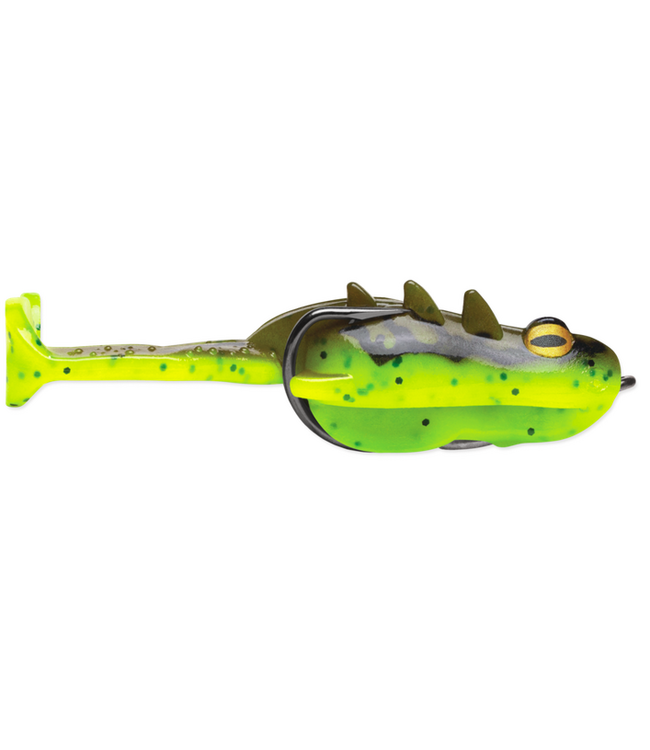 Storm Storm Surge Frog